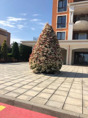 Apartment In Prestige Fort Beach Sveti Vlas Εξωτερικό φωτογραφία
